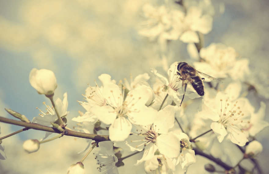 Screen Shot 2015-08-20 at 10.18.19 PM