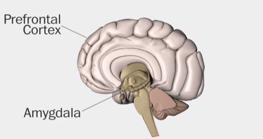 Screen Shot 2015-08-20 at 4.13.31 PM